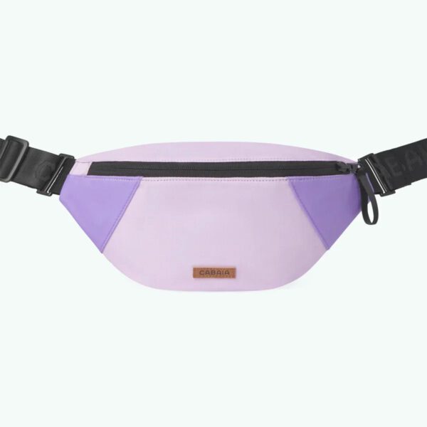 Aurora - Mini Fanny Pack