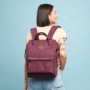 Delhi Adventurer Medium Backpack
