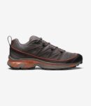 EXTENDED XT-6 - Iron / Fern / Black