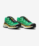 XT-6 - Bright Green / Black / Sulfur
