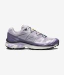 XT-6 - Violet Heather / Violet Aster / Silver Ftw