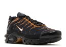 Nike Air Max Plus Dark Obsidian Monarch