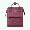 Delhi Adventurer Medium Backpack