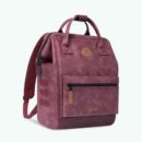 Delhi Adventurer Medium Backpack