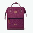 Adventurer Medium Nice Backpack