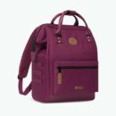 Adventurer Medium Nice Backpack