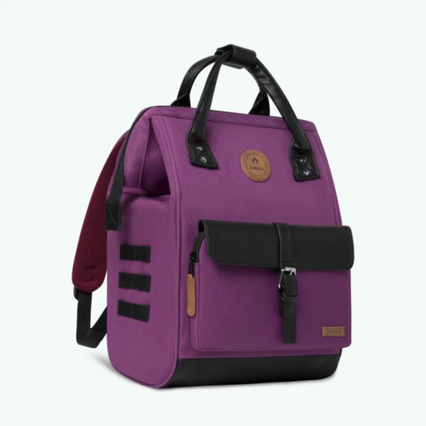 Adventurer Medium Singapore Backpack - Image 5
